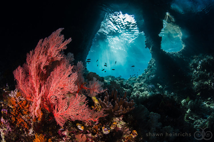 Misool dive site