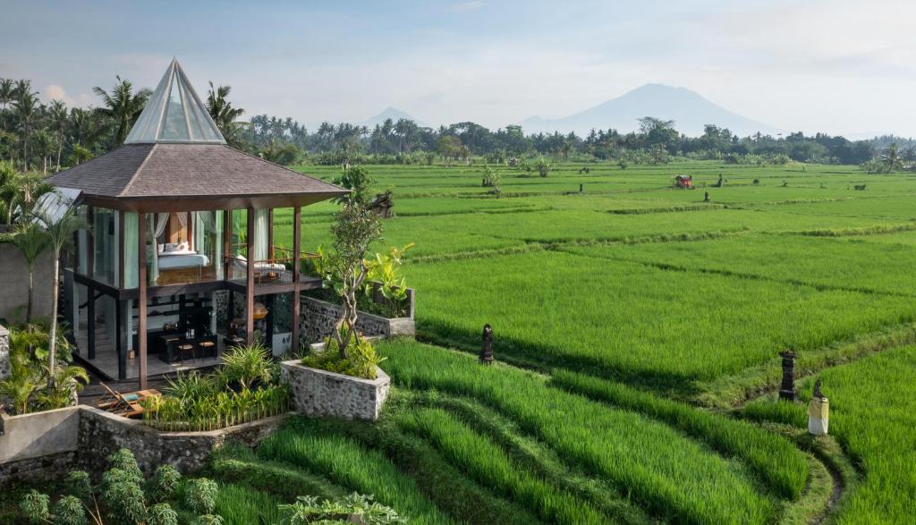 Luxury wellness retreats southeast asia Gdas Bali paddy fields