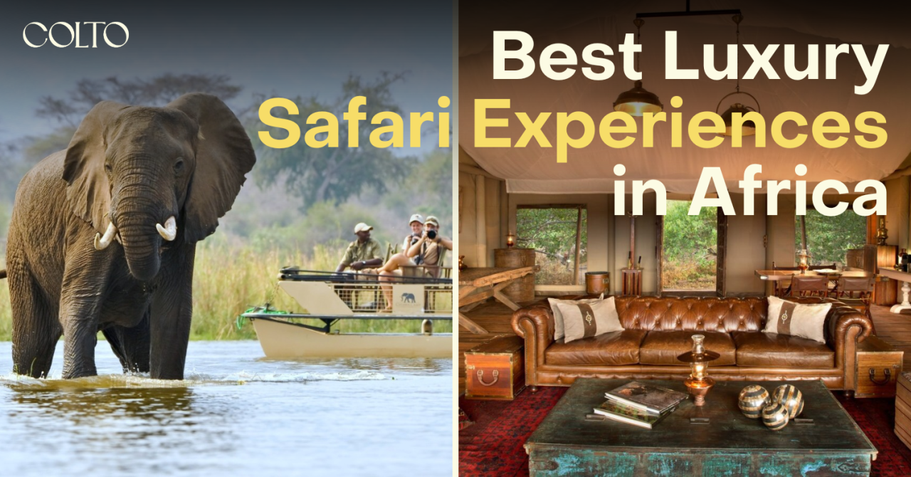 Best Luxury Safari Experiences in Africa