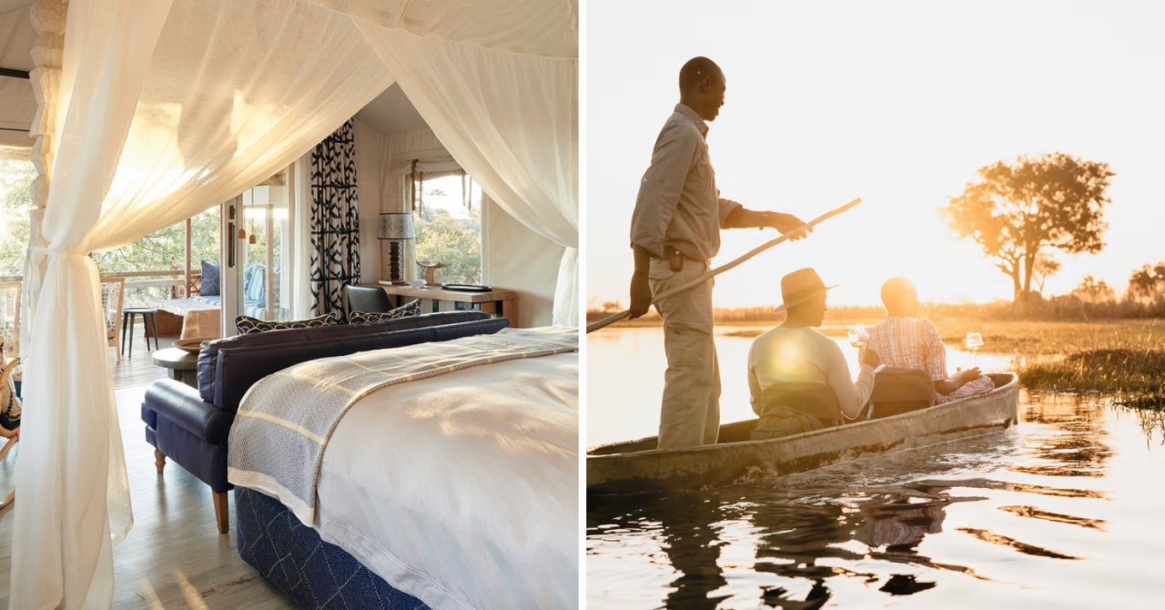 luxury safari experiences - Luxury African Safari - Beyond Expectations