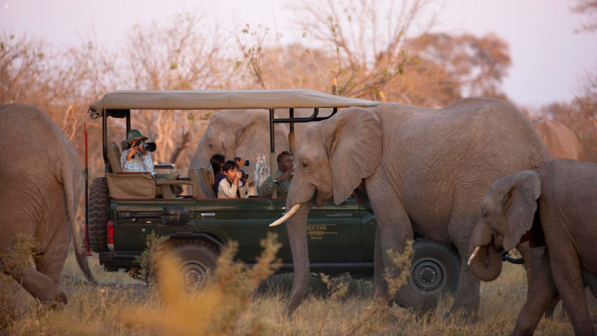 luxury safari experiences - Jacada Travel - Ultra Luxe Zimbabwe & Botswana