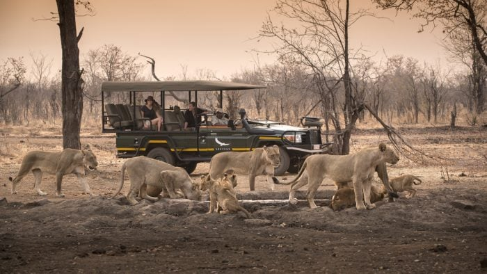 luxury safari experiences - Jacada Travel - Ultra Luxe Zimbabwe & Botswana