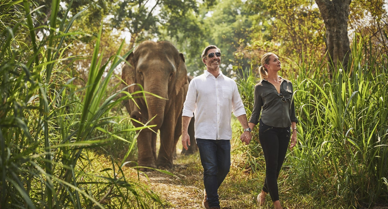 Anantara Golden Triangle Elephant Camp & Resort, Thailand 
