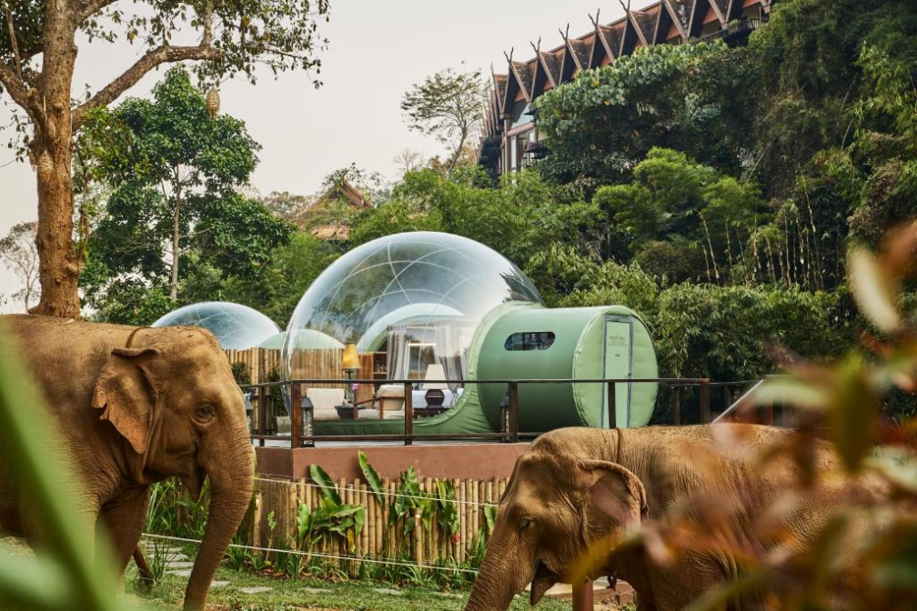 Anantara Golden Triangle Elephant Camp & Resort, Thailand 